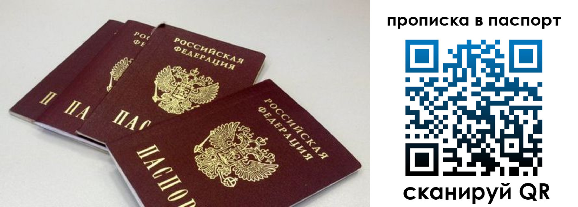 найти адрес прописки в Боре
